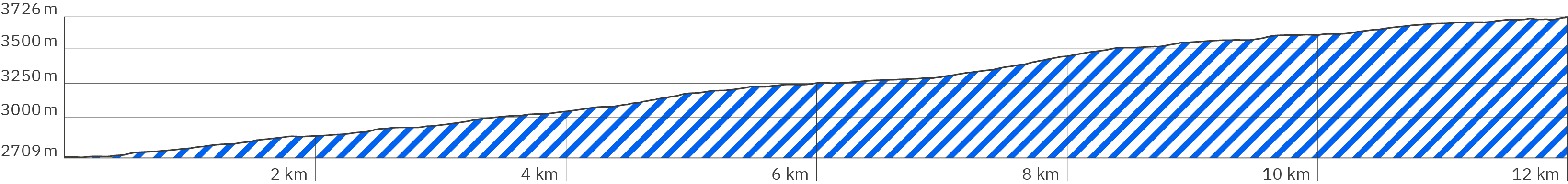 Elevation profile of the 2nd stage to the summit of Kilimanjaro on the Marangu Route in Tanzania, Africa. The course shows a slightly steeper climb at the start for about 5 kilometers, followed by a flat section up to kilometer 7, then another steeper kilometer followed by a slightly flatter climb up to kilometer 12 - from 2,710 meters in altitude to 3,725 meters in altitude.